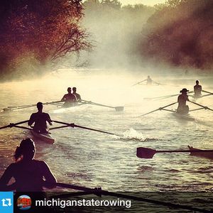Image post by @msu_fieldhockey on Instagram