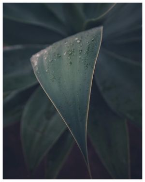 Image post by @gusj714 on Instagram