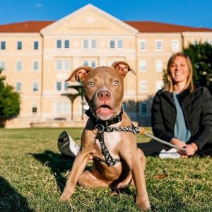 Image post by @texaschristianuniversity on Instagram