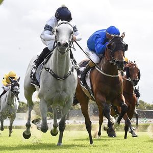 Image post by @australianturfclub on Instagram