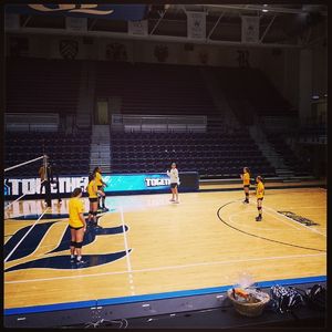 Image post by @lsuvolleyball on Instagram