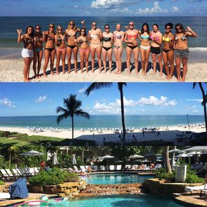 Image post by @fgcu_vb on Instagram