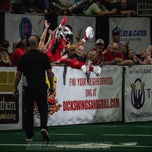 Image post by @jaxsharks on Instagram