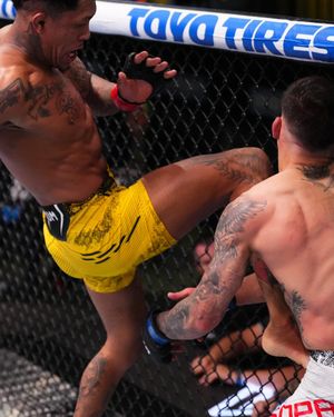 Image post by @ufc_brasil on Instagram