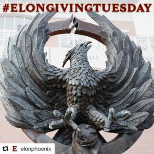 Image post by @elonvb on Instagram