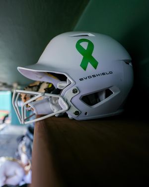 Image post by @baylorsoftball on Instagram