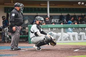 Image post by @bubruins_bsbl on Instagram