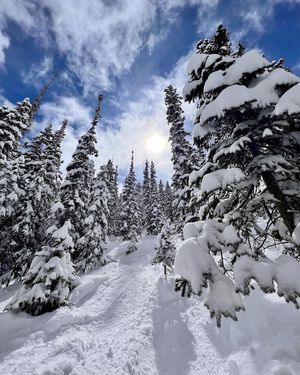 Image post by @winterparkresort on Instagram