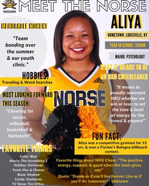 Image post by @nkucheer on Instagram