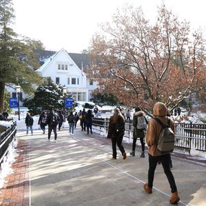 Image post by @hofstrau on Instagram