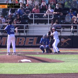 Image post by @gocamelsbsb on Instagram