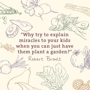 Image post by @lepainquotidienus on Instagram