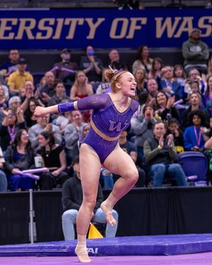 Image post by @uwgymnastics on Instagram