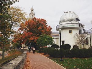 Image post by @denisonu on Instagram