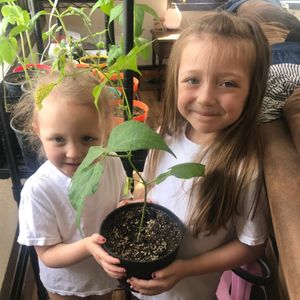 Image post by @kidsgardening on Instagram
