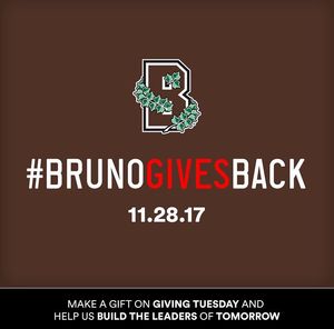 Image post by @brownu_wlax on Instagram