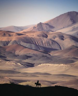 Image post by @fubiz on Instagram