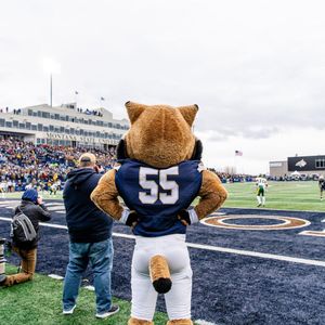 Image post by @champ_bobcat on Instagram