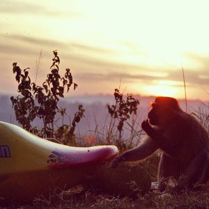 Image post by @nicktroutmankayak on Instagram