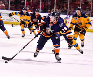 Image post by @swamprabbits on Instagram