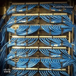 Image post by @cisco on Instagram