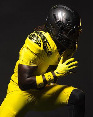 Image post by @goducks on Instagram