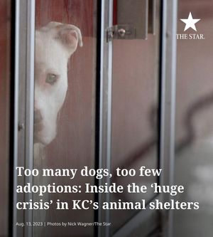 Image post by @thekansascitystar on Instagram