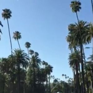Image post by @davidbeckham on Instagram