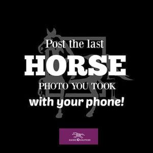 Image post by @equineidsolutions on Instagram