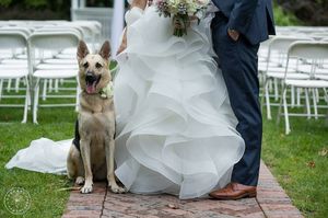 Image post by @westernavearts on Instagram