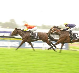 Image post by @australianturfclub on Instagram