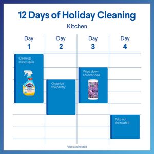 Image post by @clorox on Instagram