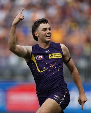 Image post by @freodockers on Instagram