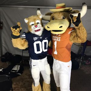 Image post by @cosmo_cougar on Instagram