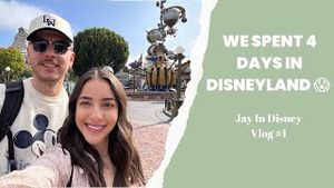 Video post by @jayindisney on YouTube