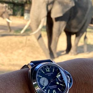 Image post by @chiawasafaris on Instagram