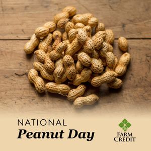 Image post by @farmcredit on Instagram