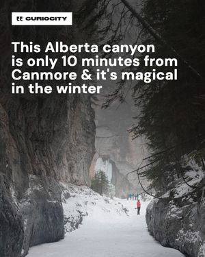 Image post by @curiocitycalgary on Instagram