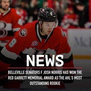 Image post by @sens_network on Instagram