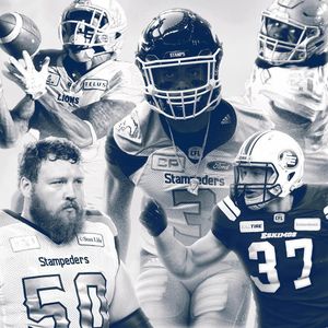 Image post by @mtlalouettes on Instagram