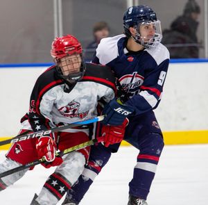 Image post by @usphlhockey on Instagram