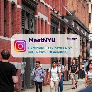 Image post by @meetnyu on Instagram