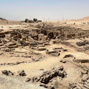 Image post by @discovery on Instagram