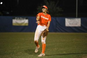 Image post by @clemsonsoftball on Twitter