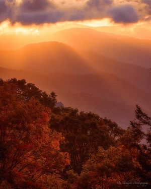 Image post by @nationalparkscollective on Instagram