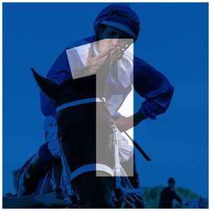 Image post by @australianturfclub on Instagram
