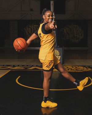 Image post by @uapblionswbb on Instagram