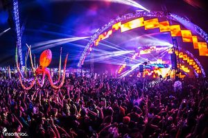 Image post by @beyondwland on Instagram