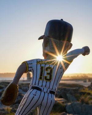 Image post by @mannymachado on Instagram