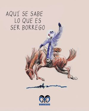 Image post by @borregostec on Instagram